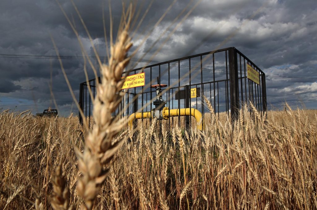 Tik vienkārši tomēr nebūs makaronu krīze Ukrainā Graudu trūkums