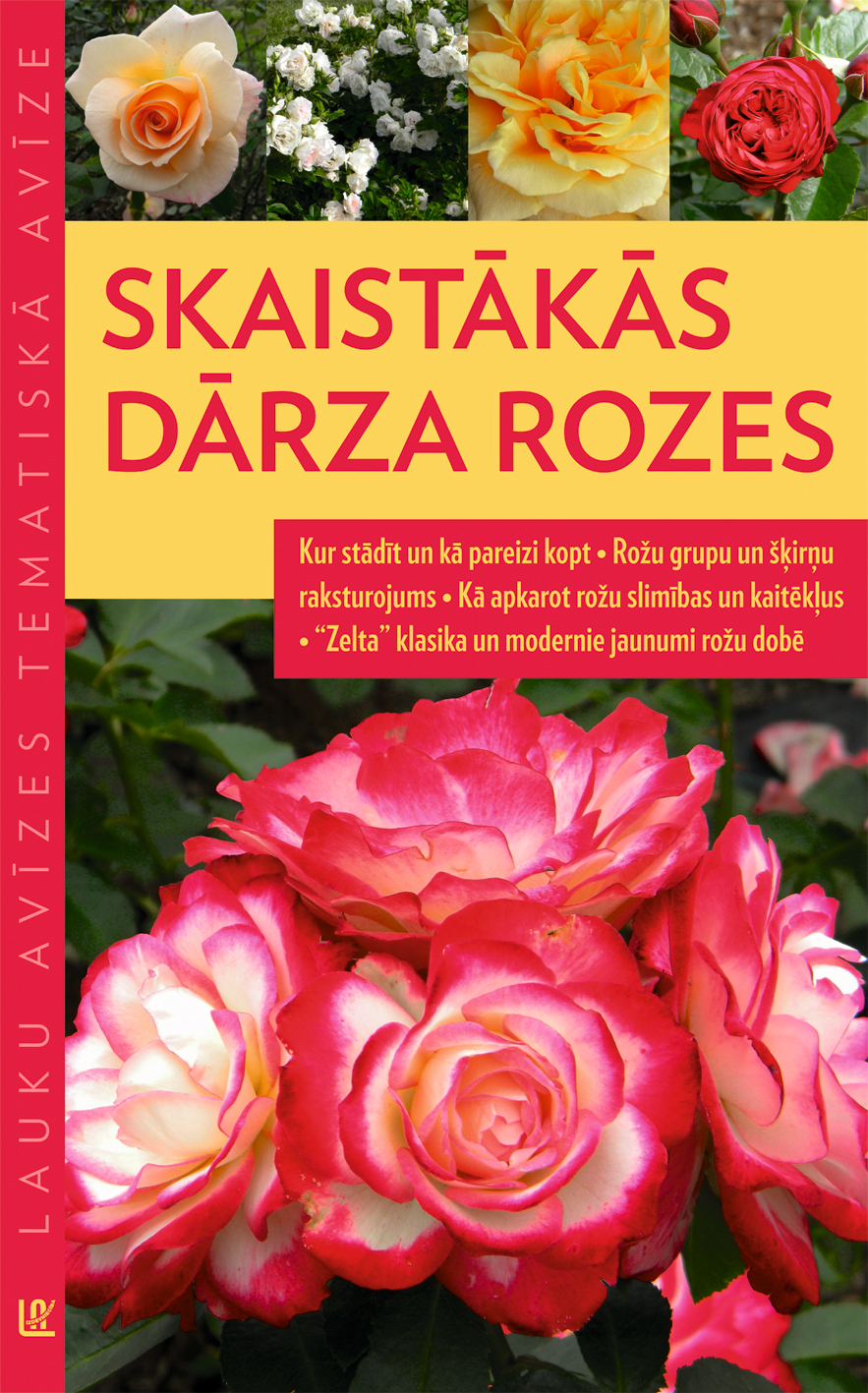 Skaistākās dārza rozes | LA.LV