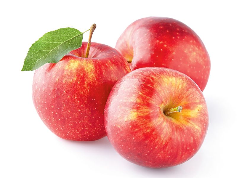 Kuri ziemas āboli vairāk piemēroti žāvēšanai, kuri – sulas spiešanai,  ievārījumam un biezenim | Praktiski.lv