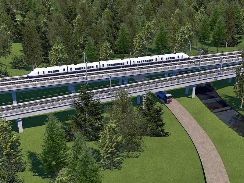 The process of alienation of trees to be felled in the Rail Baltica project will be facilitated