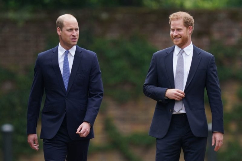 PHOTO.  The brothers are together again – Prince William and Harry unveil a monument to Princess Diana.  Who else attended the event?