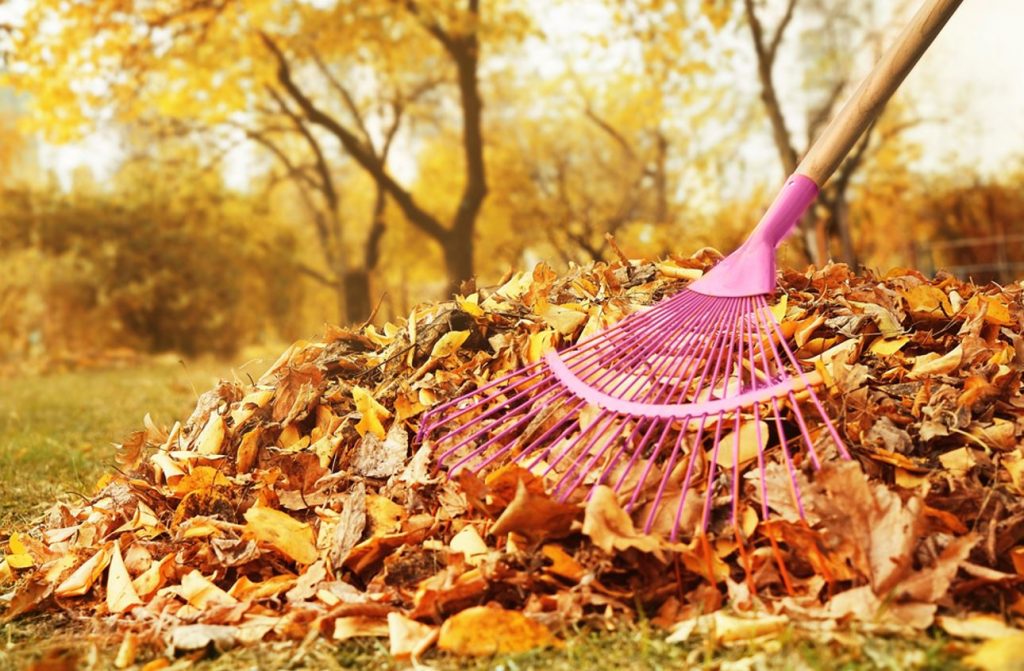 Sākas kaitinošais rudens lapu grābšanas laiks. Knifs, kas palīdzēs