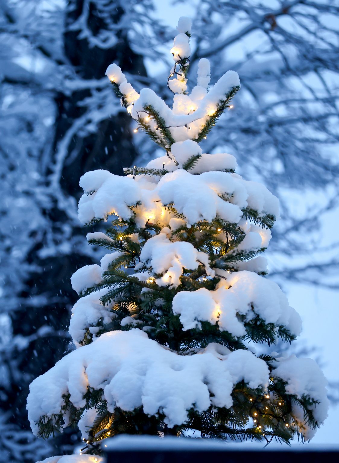 vai 14 decembris ir saīsinātā darba diena