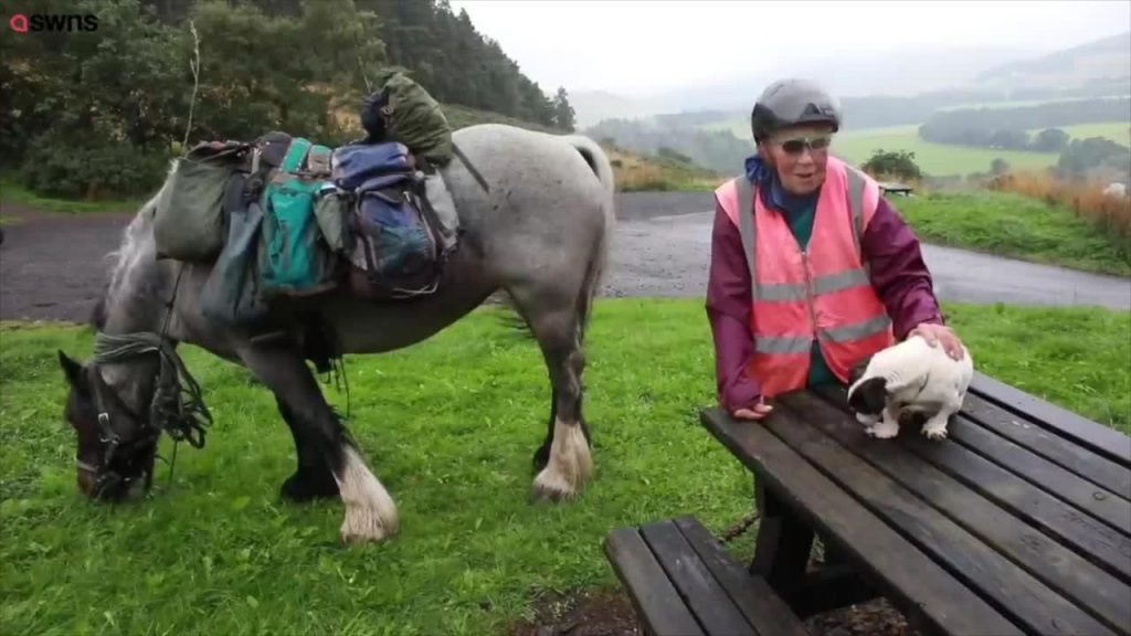 82-Year-Old Pensioner Completes Annual Trek to Scottish Highlands With Trusty Horse and Dog