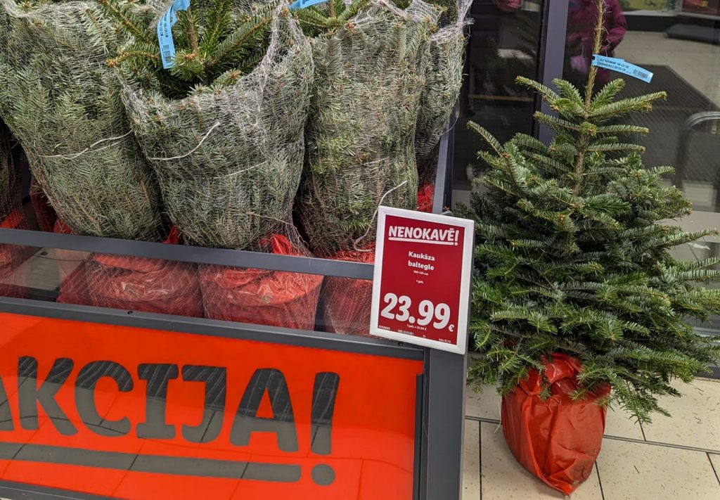 「クリスマスツリーには根がありません。ただ切られて鉢に植えられているだけなのです！」 Lidl 顧客が怒る。店側が状況を説明
