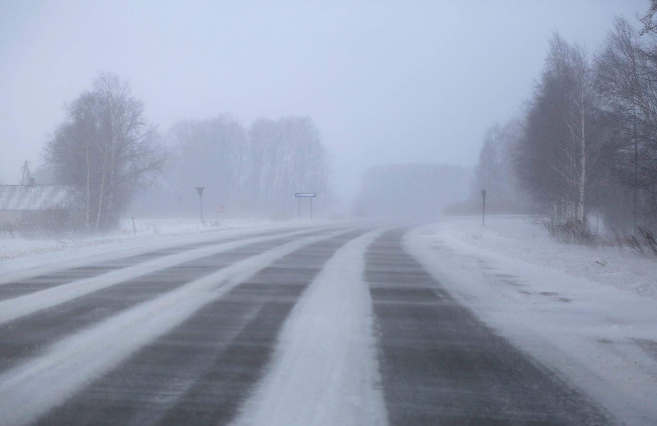 VIDEO. Kā tad izskatās tas sniegvilksnis? Ļaudis sociālajos tīklos ...